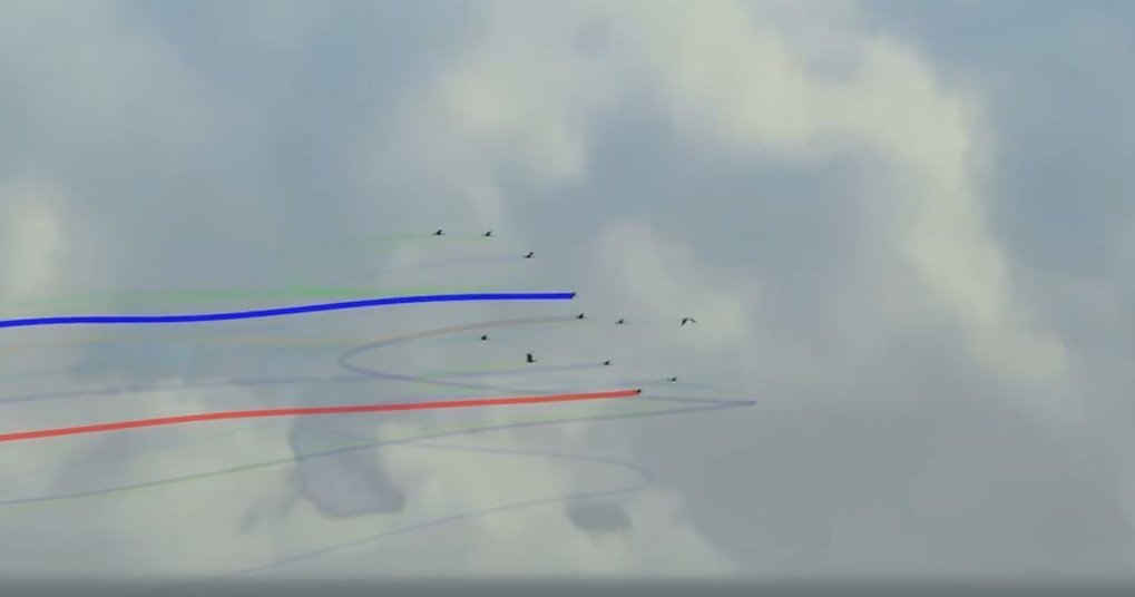 Flugtrategien der Störche in Thermiken